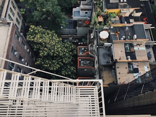 Aerial view of a dense urban environment with a focus on a rooftop courtyard. Multiple rooftops and terraces are visible, each having various items like tables, chairs, and plants. A large tree with green and yellow leaves contrasts against the concrete and brick buildings.