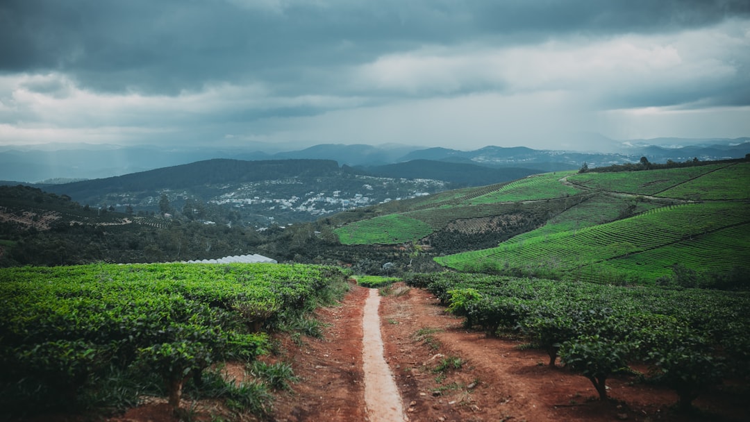 Hill station photo spot Da Lat Vietnam