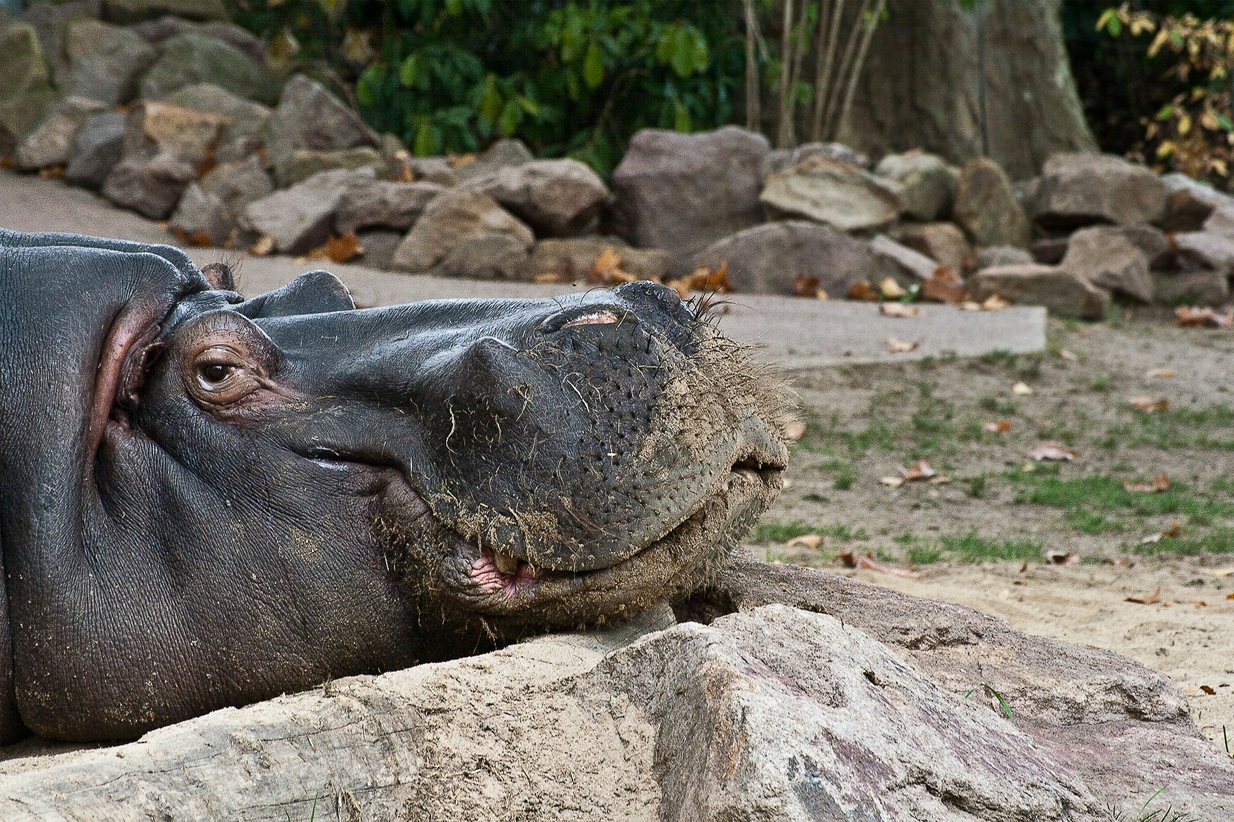 Free Unsplash photo from Andreas P.