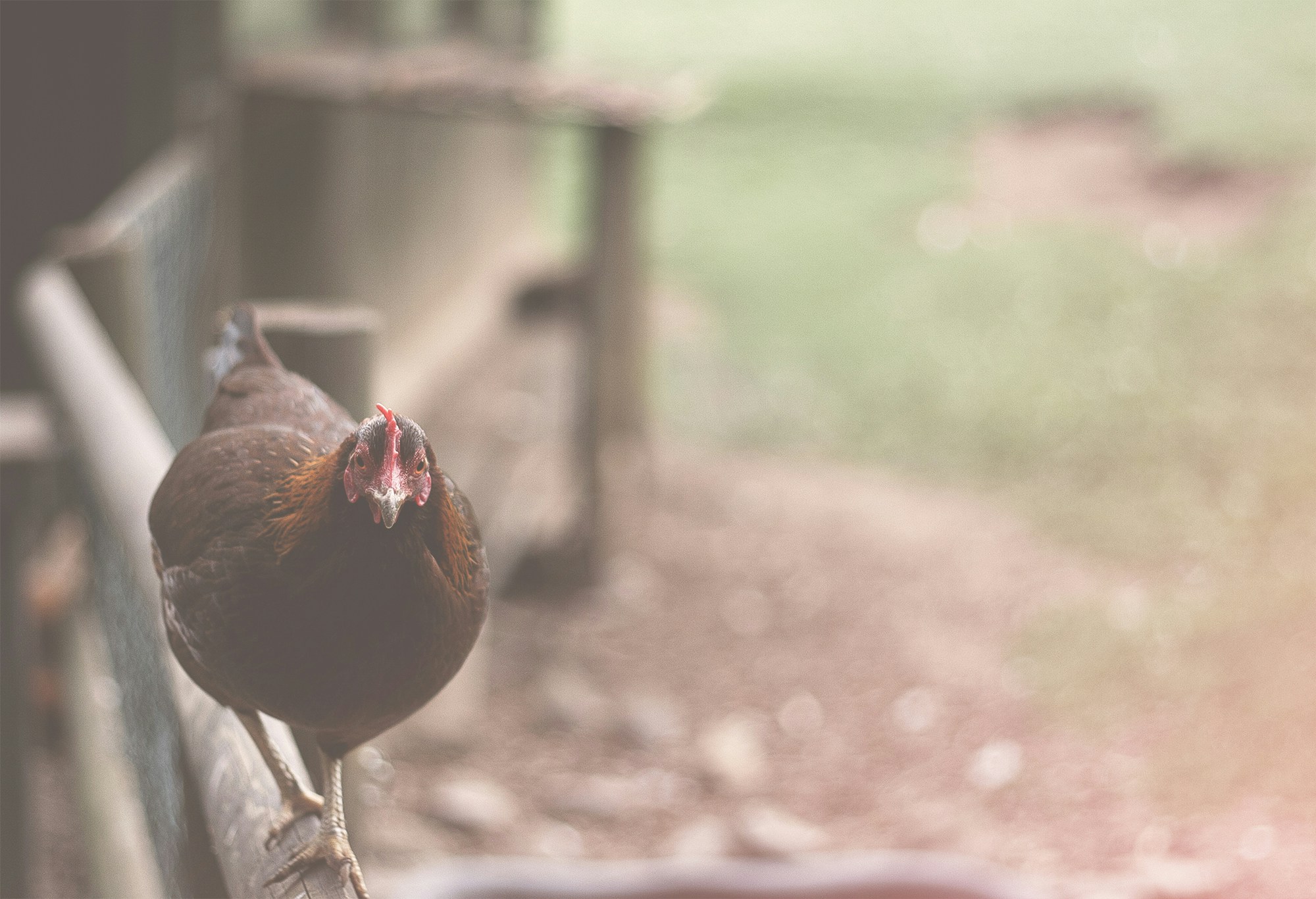 Free Unsplash photo from Andreas P.