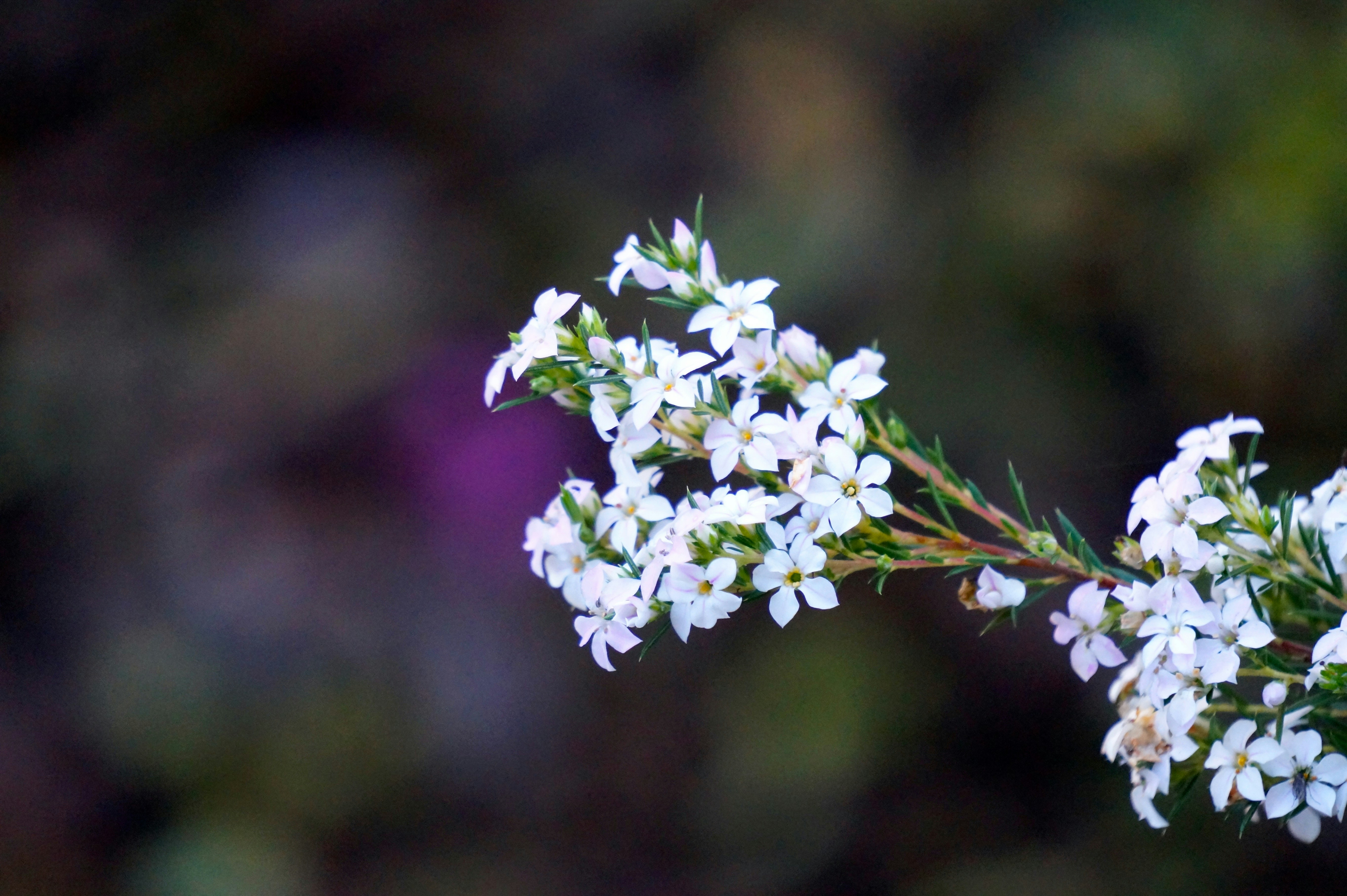 Free Unsplash photo from Jana Dunbar