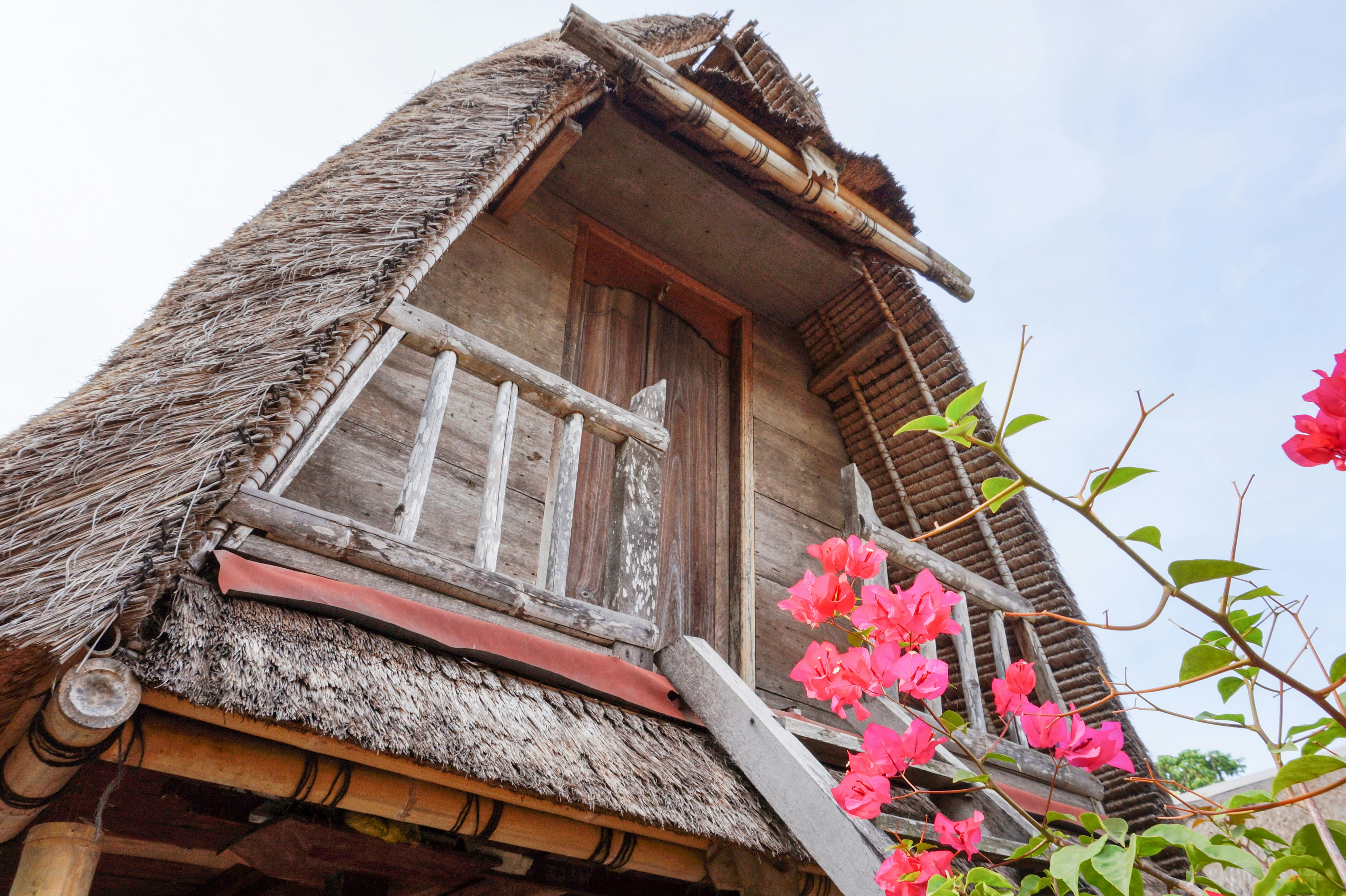 Free Unsplash photo from Jana Dunbar