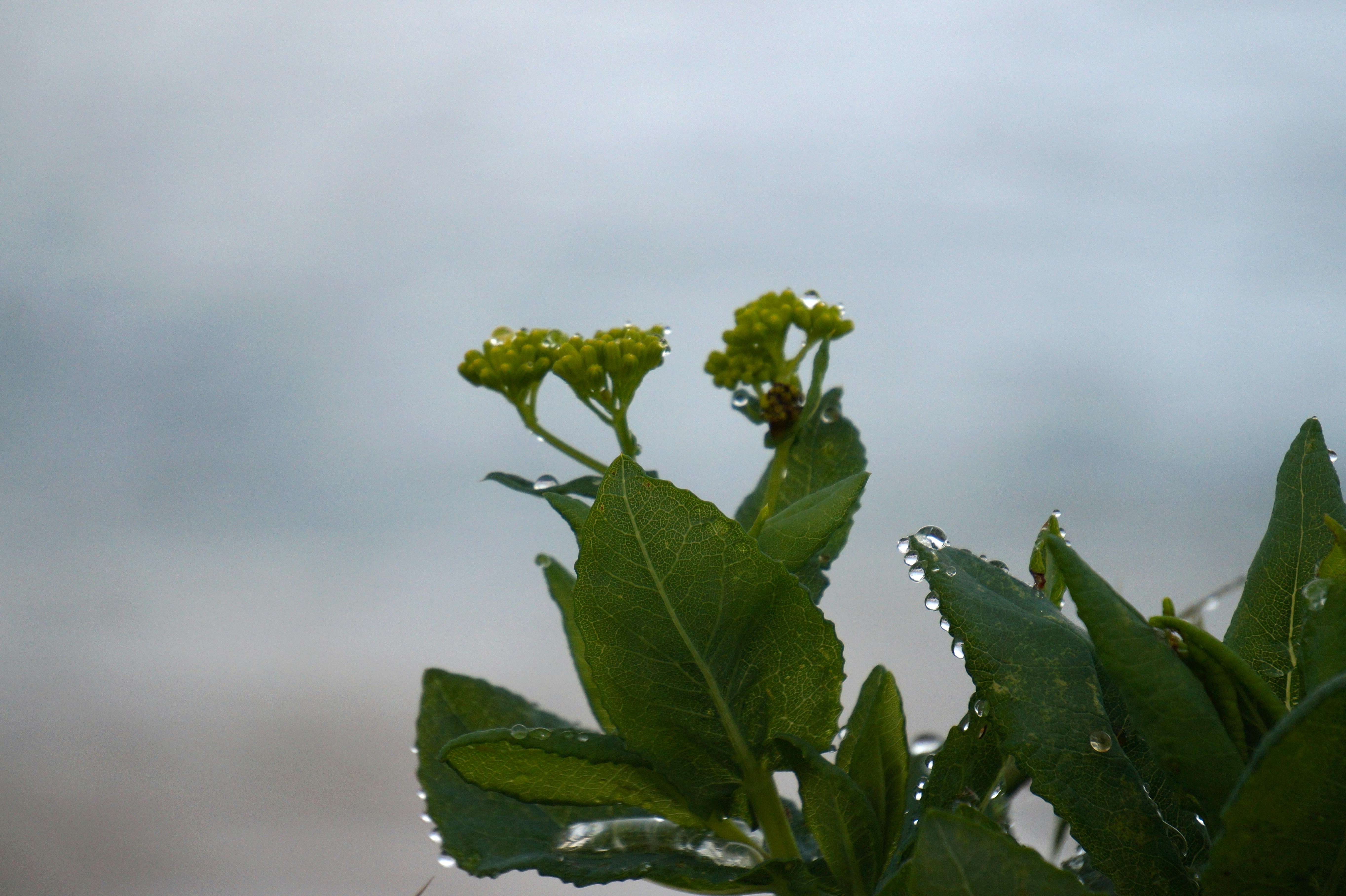 Free Unsplash photo from Jana Dunbar