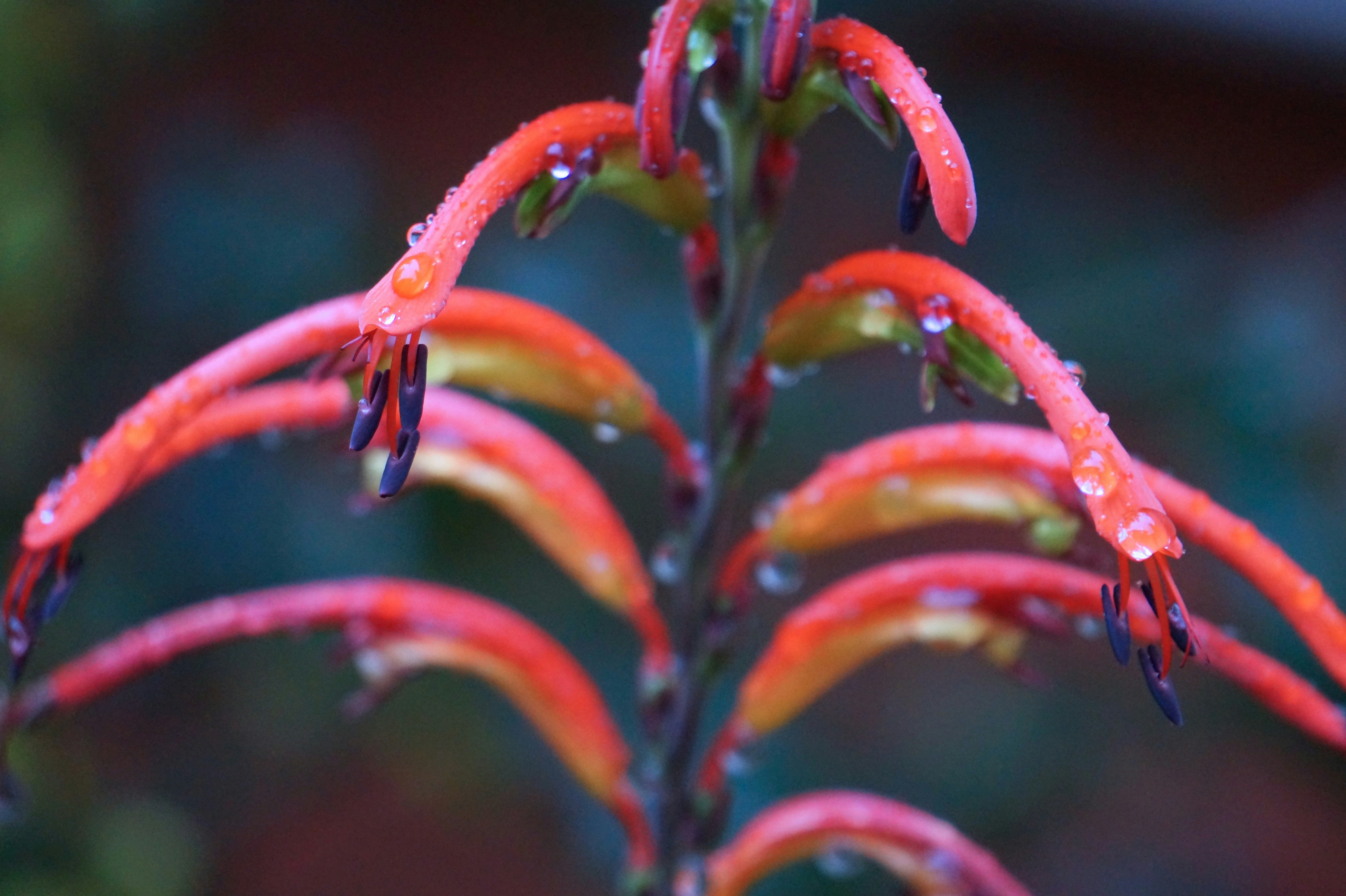 Free Unsplash photo from Jana Dunbar