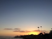 Scenic sunset view over Mazatlán's coastline with palm trees.