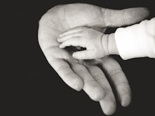 child and parent hands photography