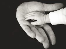 child and parent hands photography