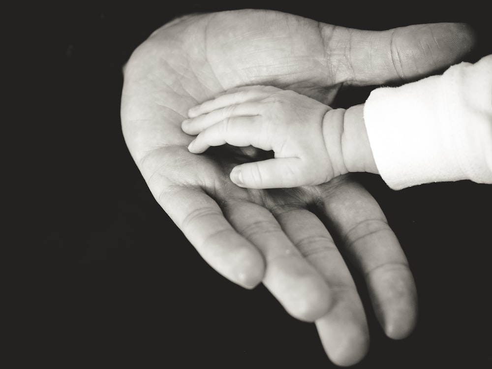 Fotografia delle mani del genitore e del bambino
