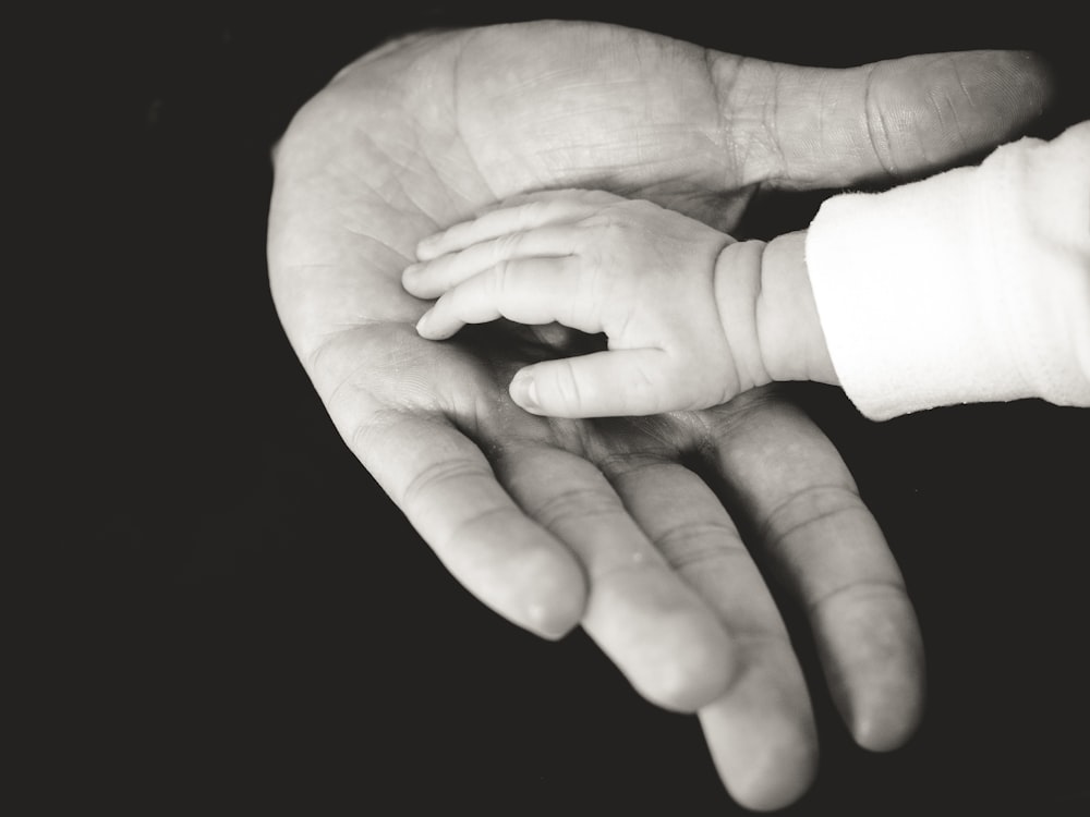 Fotografía de manos de niños y padres