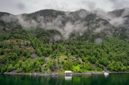 landscape photography of island filled with trees in Nærøyfjord Norway