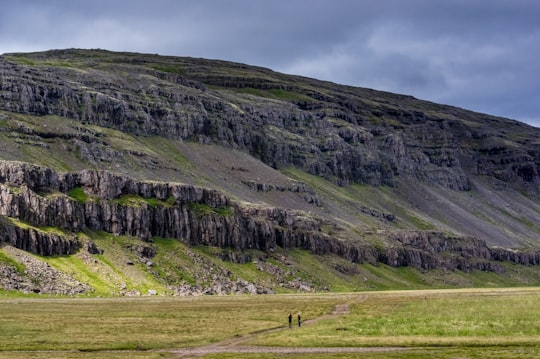 two people standing on field near cliff in Djúpivogur Iceland
