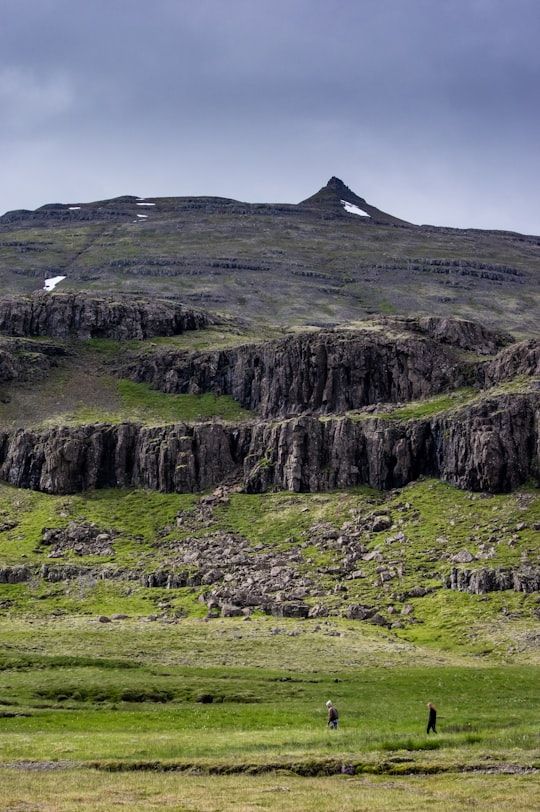 two person walking on green grass field with mountain in Djúpivogur Iceland