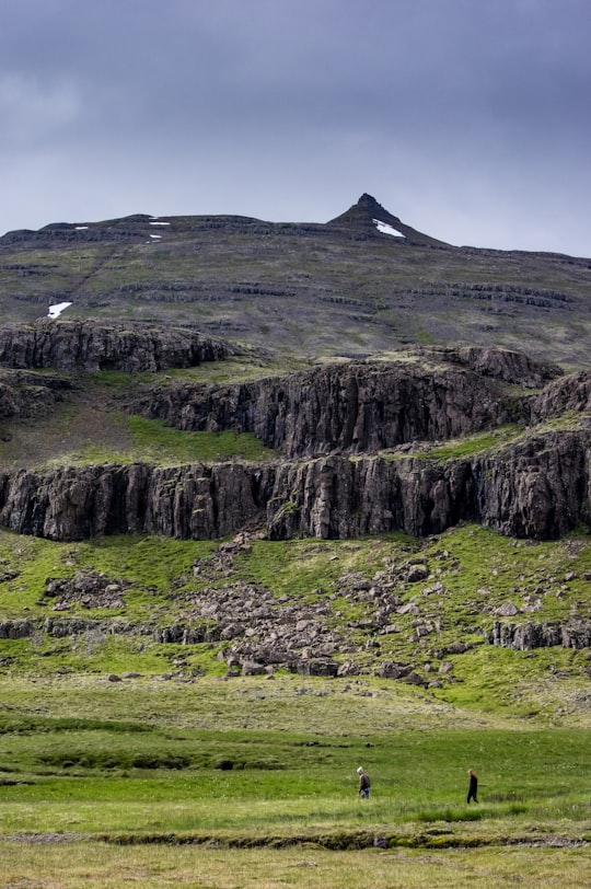 Djúpivogur things to do in Reyðarfjörður