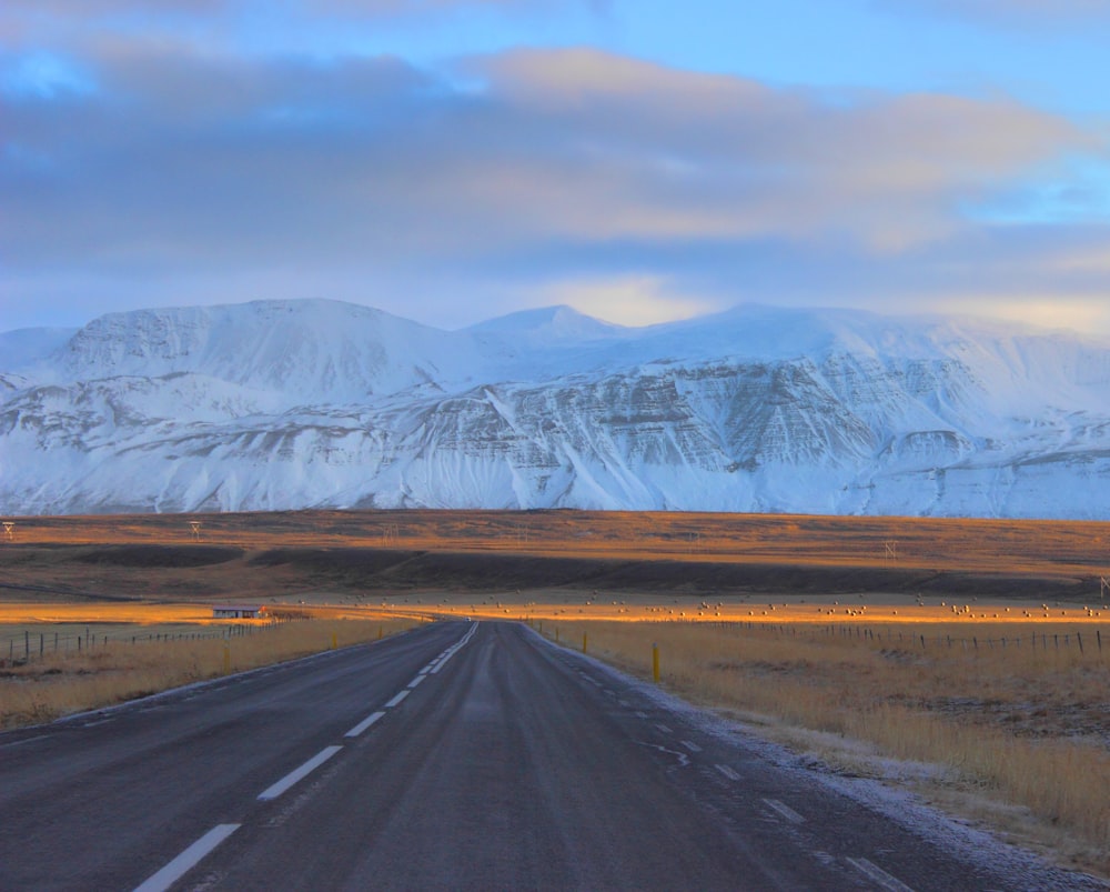 estrada de asfalto cinza em frente às montanhas de neve
