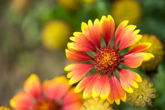 A detailed close-up of a floral painting with vibrant petals.