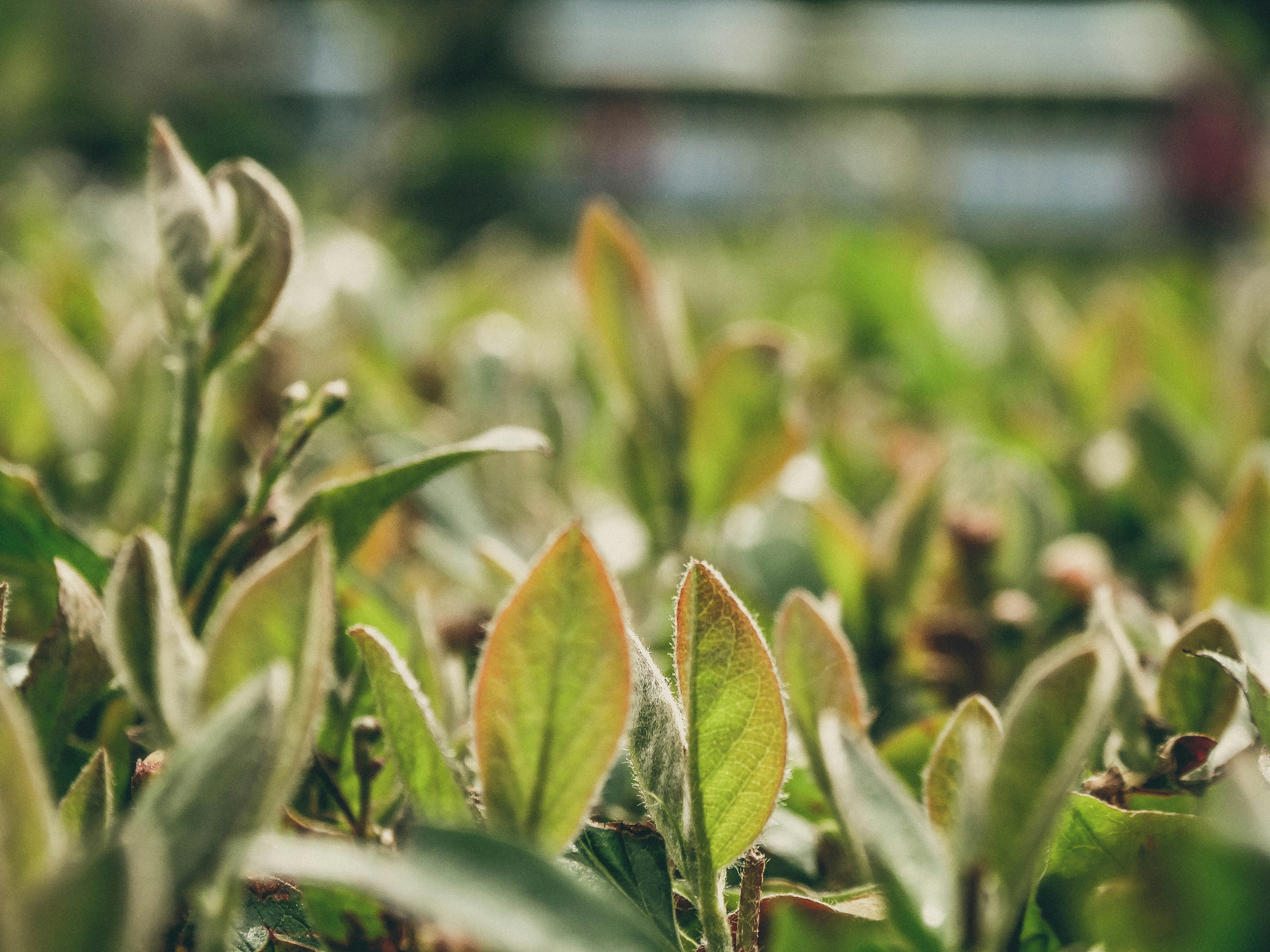 Free Unsplash photo from Yekaterina Perfilyeva