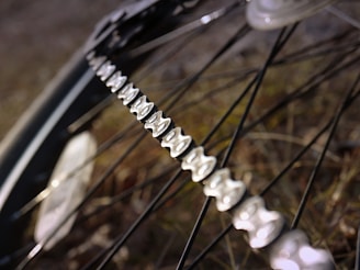 Close-up of a shiny waxed bicycle chain glistening in sunlight on a vintage bike.