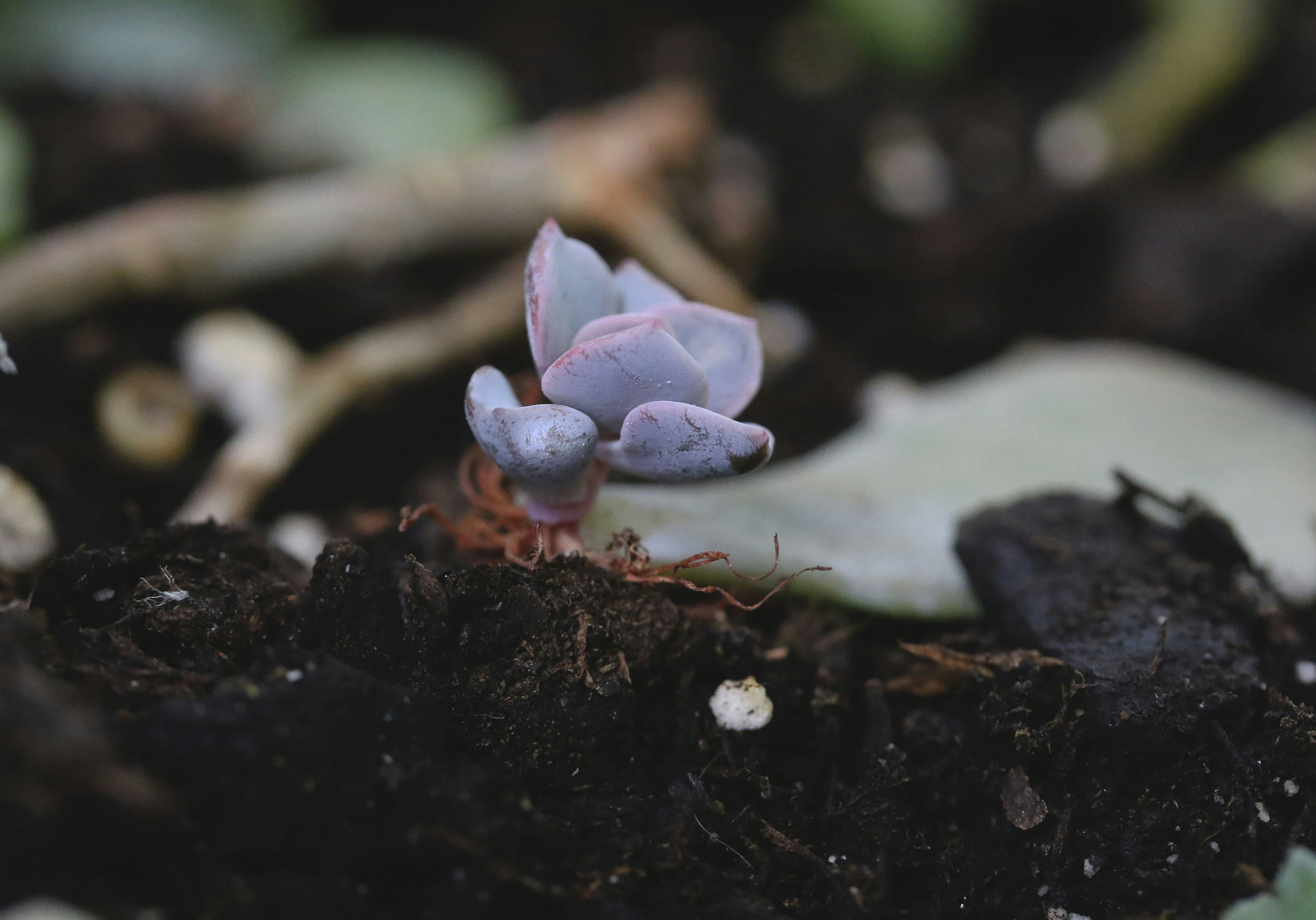 Free Unsplash photo from Kelsey  Krajewski