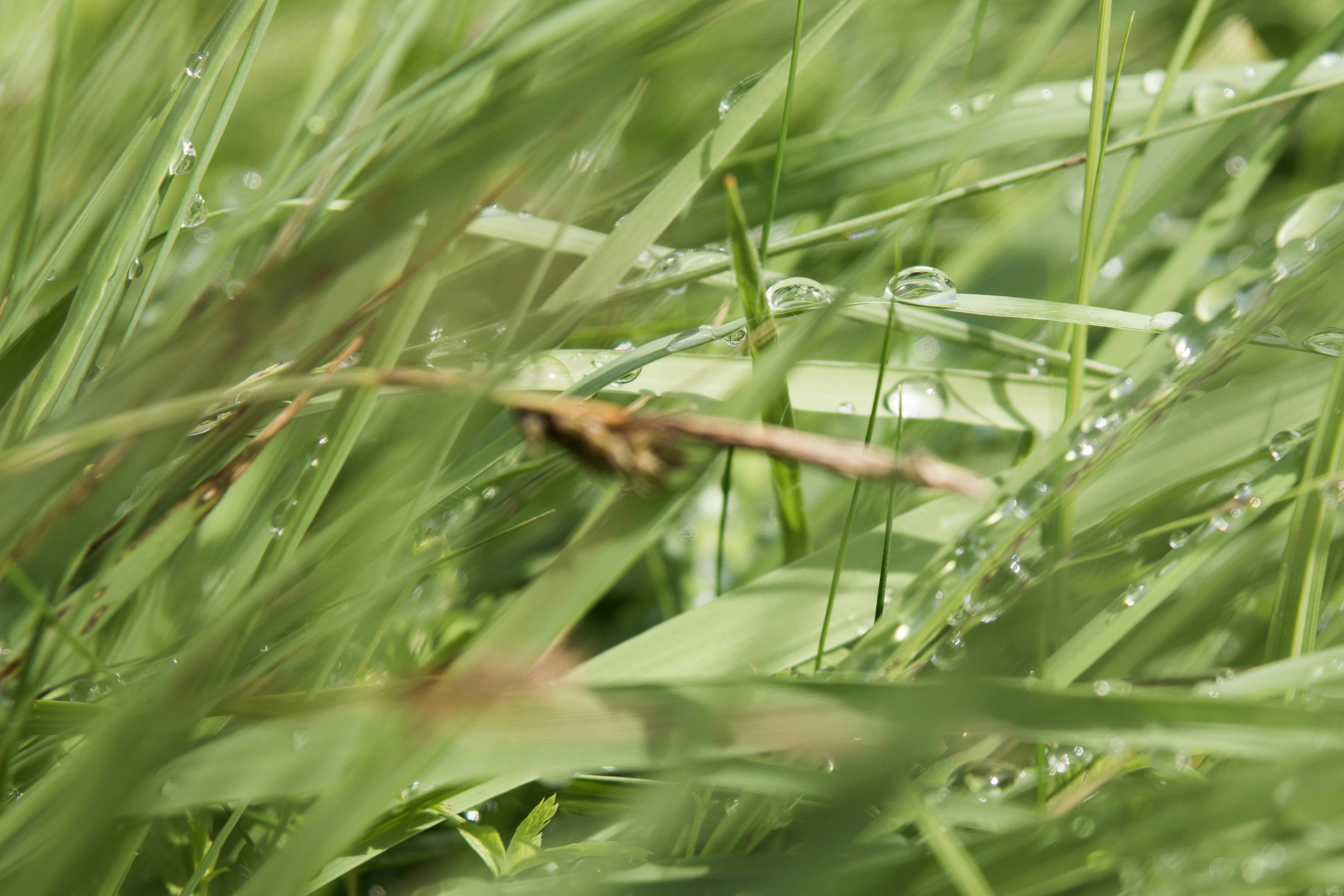 Free Unsplash photo from martin antkowiak