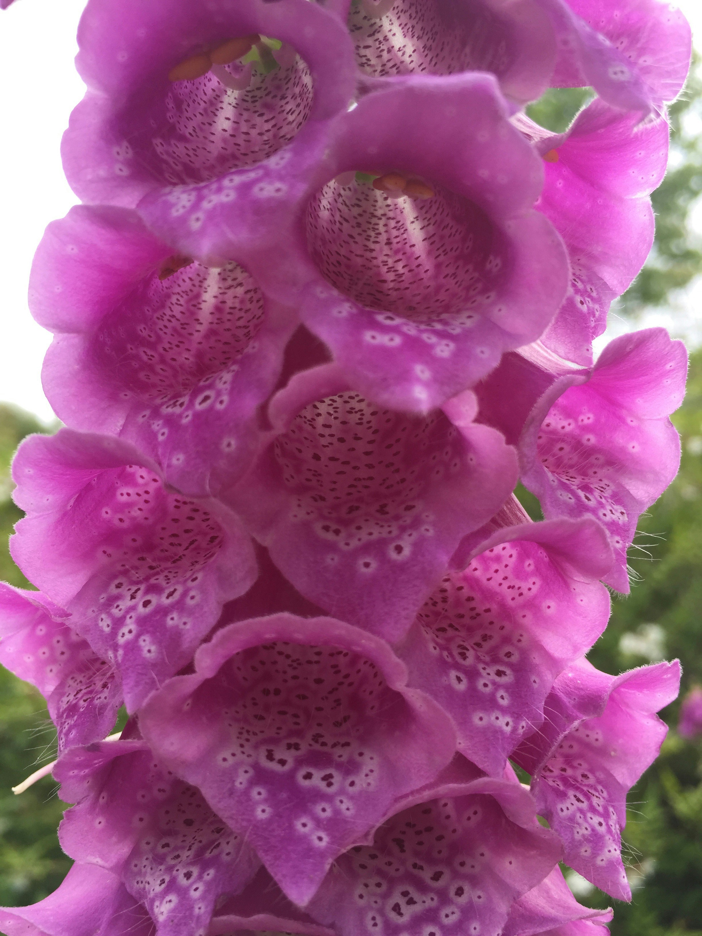 Free Unsplash photo from Matt Walker