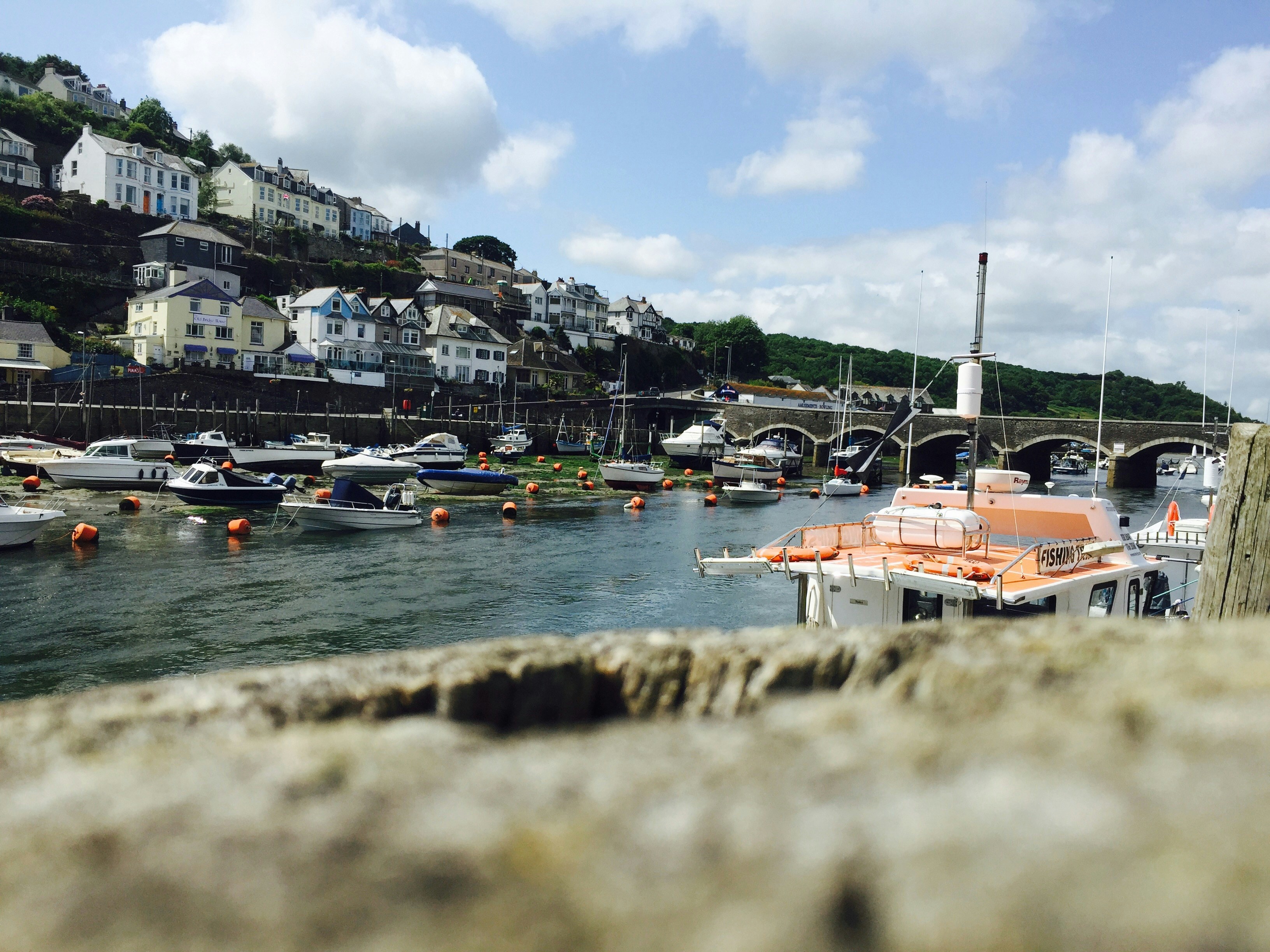 Free Unsplash photo from Matt Walker