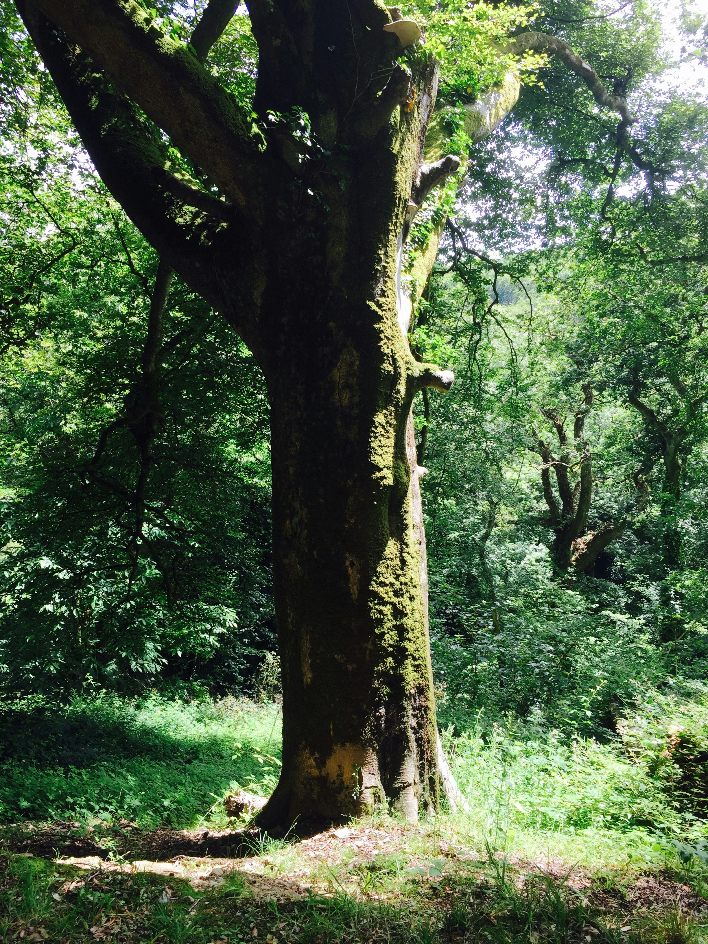 Free Unsplash photo from Matt Walker