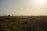 A vast field stretches out towards the horizon under a pale sky. Numerous oil derricks and machinery are scattered across the landscape, silhouetted by the dim light. The ground is covered with dry grass, adding to the arid atmosphere.