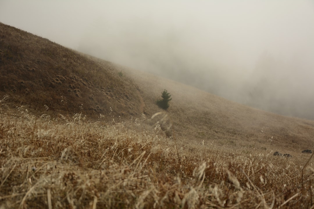 Hill photo spot Mt Tamalpais Stinson Beach