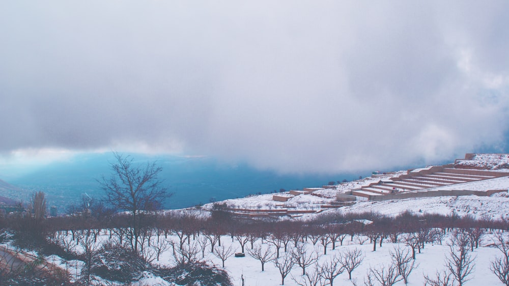 snow covered ground under white clouds