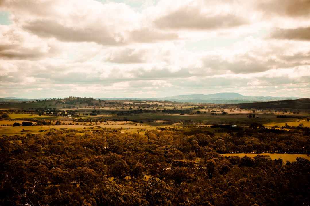 photo of Black Hill Plain near Ballarat Botanical Gardens