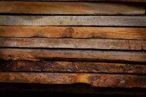 A close-up of sustainable building materials in warm tones.