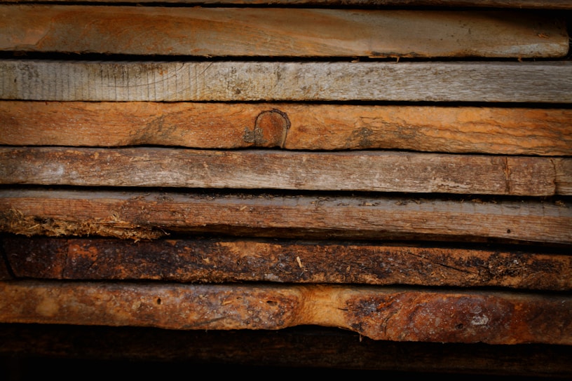 A close-up of various wood products showcasing their textures.