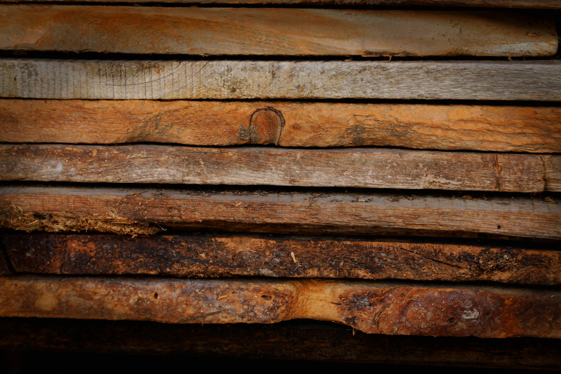 woman wearing yellow long-sleeved dress under white clouds and blue sky during daytime