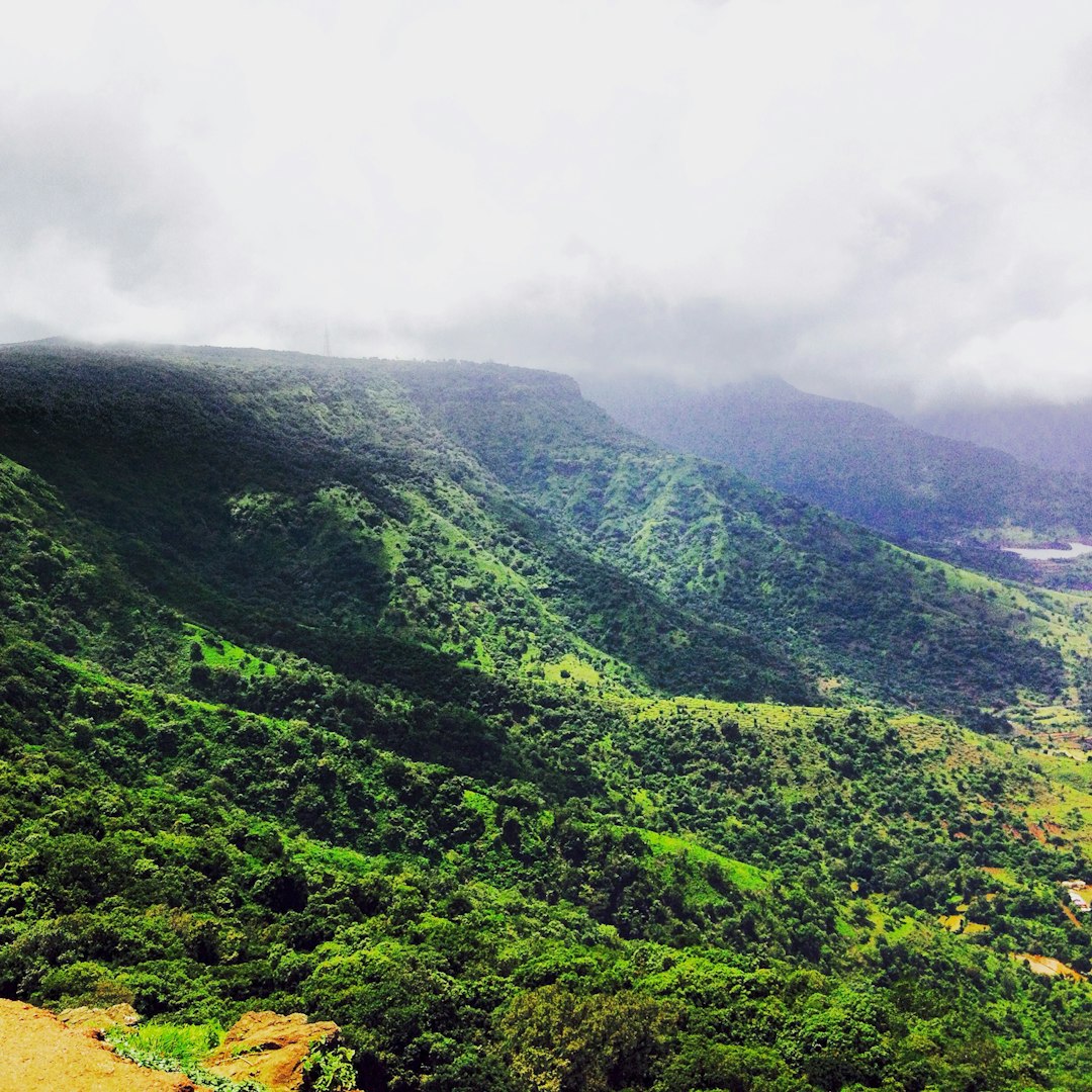 Jungle photo spot Unnamed Road Satara