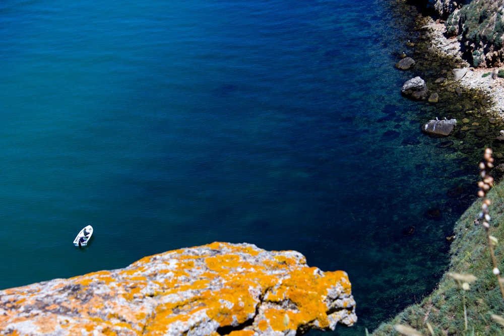 aerial photo of white boat