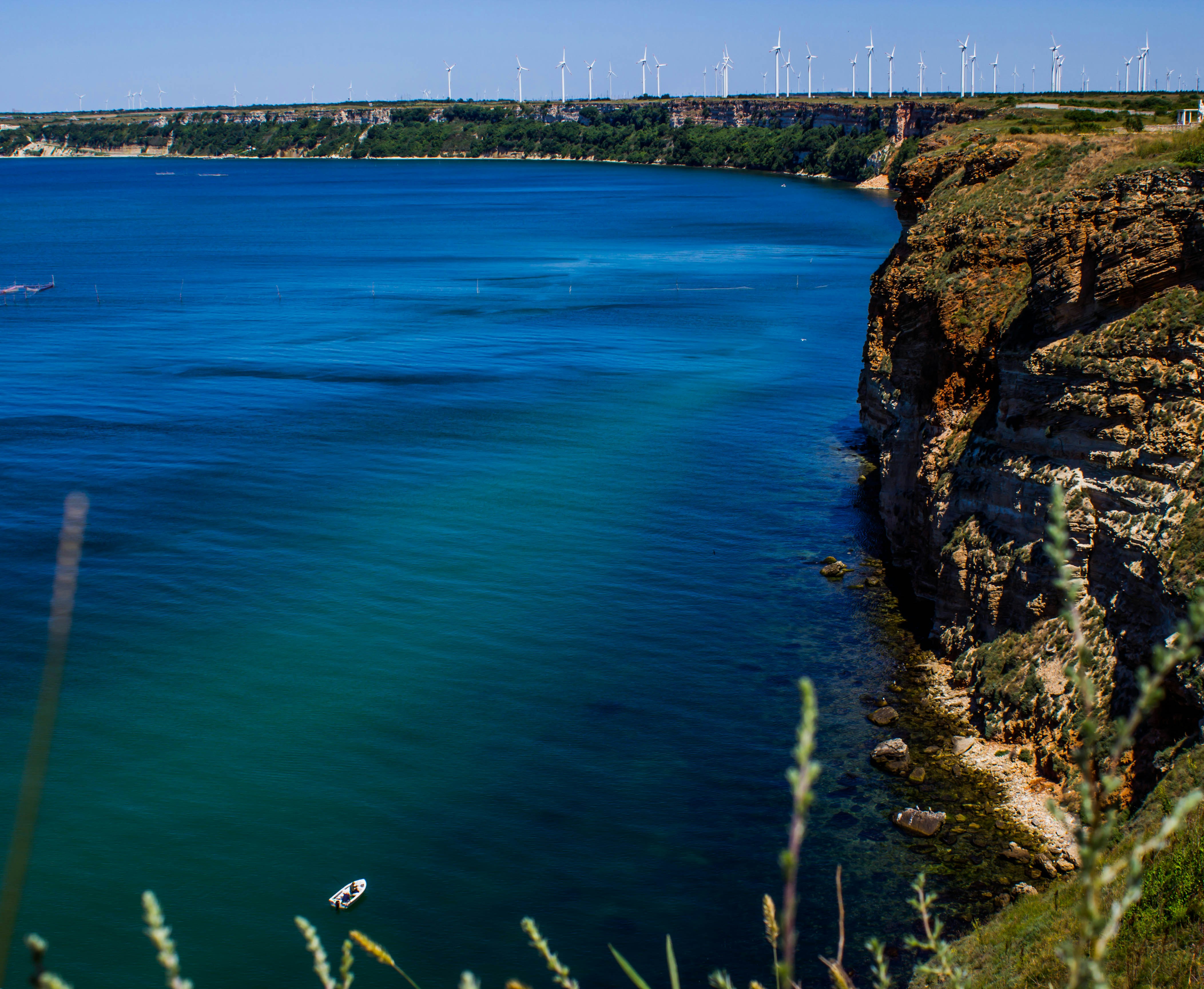 Free Unsplash photo from Alexander Videnov