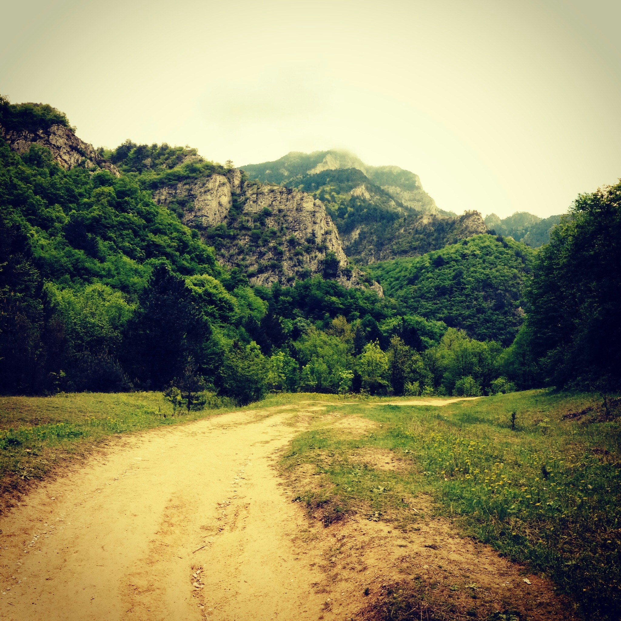 Free Unsplash photo from Alexander Videnov