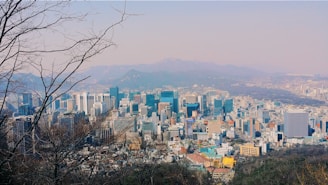 aerial photography of city during daytime