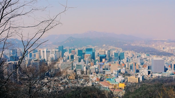 aerial photography of city during daytime