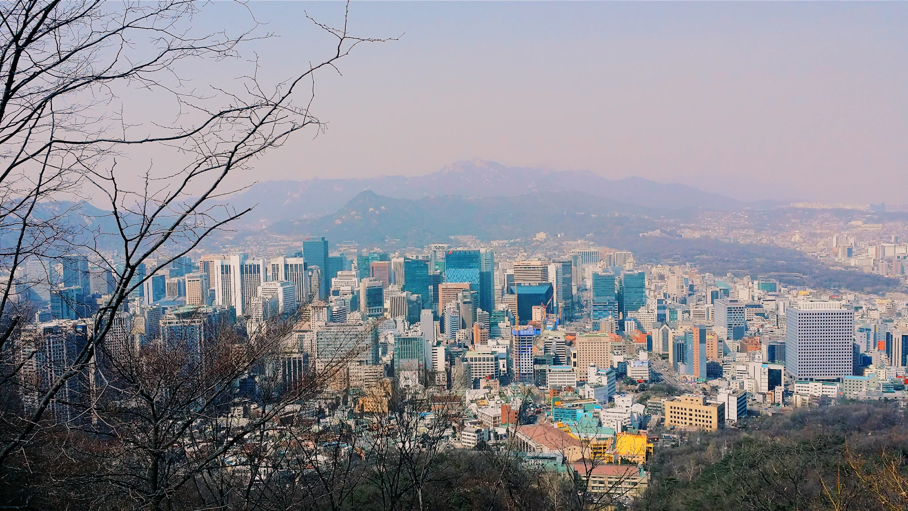 Aerial view of dense Seoul apartment blocks at dawn: the scale of the problem