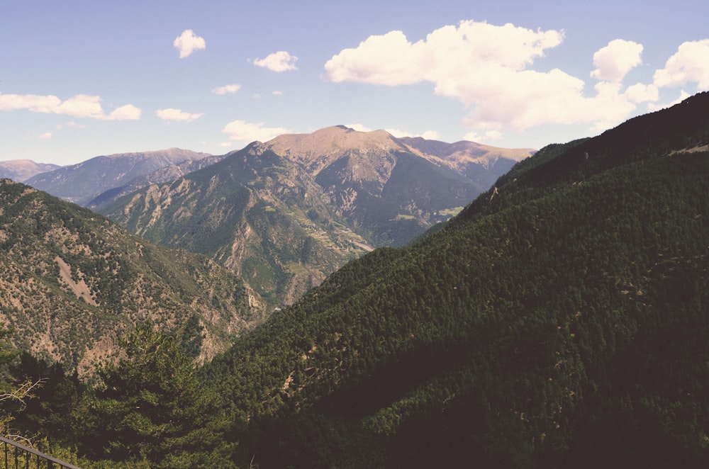 green covered mountains