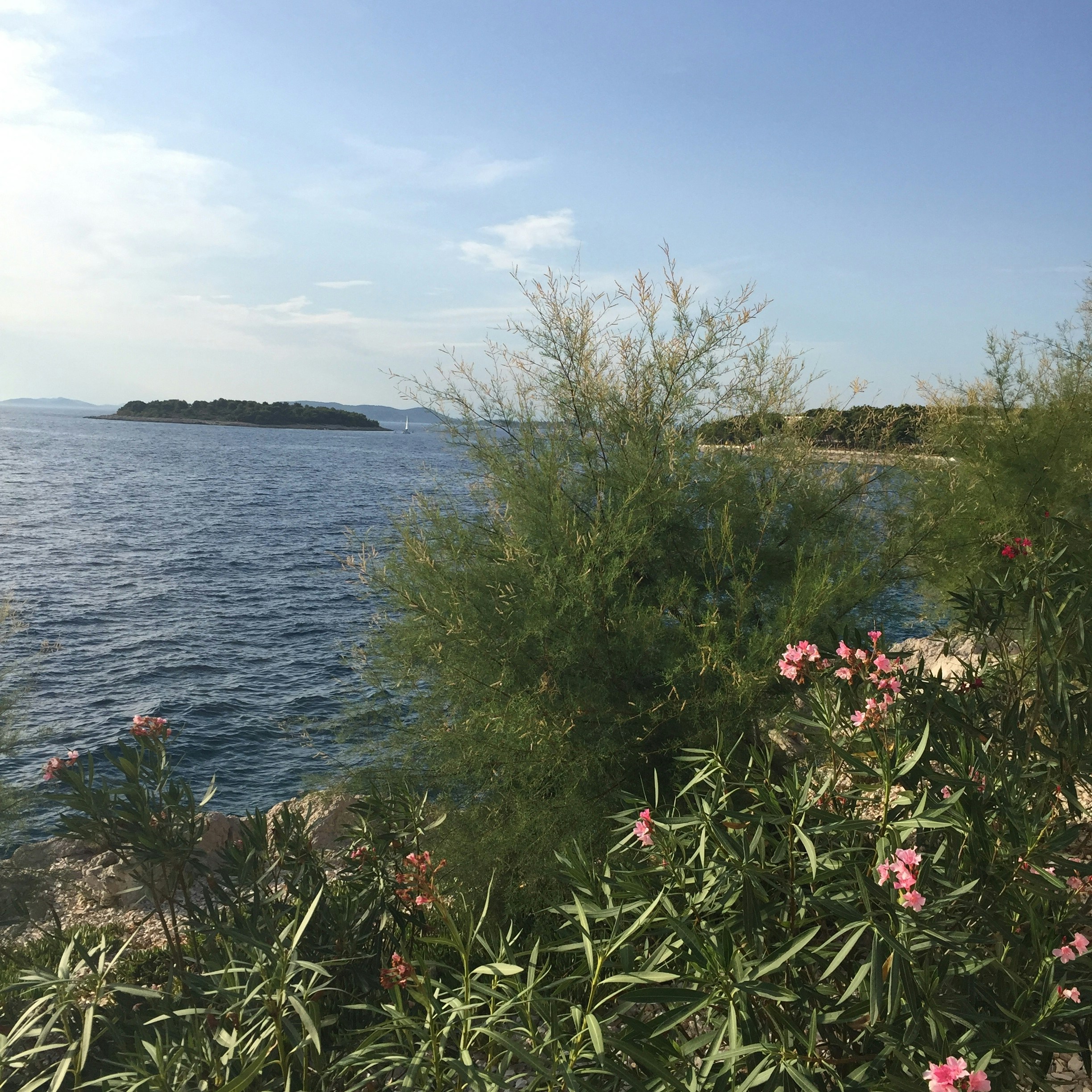 Free Unsplash photo from Kristina Ali