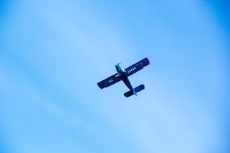 A small aircraft with a blue body and red accents flies against a clear blue sky. The aircraft is viewed from below, with its wings and tail clearly visible. The registration number can be seen on the side of the fuselage.