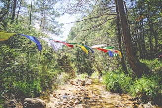 Colorful prayer flags hang across a small, rocky stream surrounded by lush greenery and tall trees. The sunlight filters through the canopy, creating a serene and vibrant natural environment.