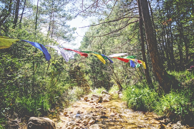 Colorful prayer flags hang across a small, rocky stream surrounded by lush greenery and tall trees. The sunlight filters through the canopy, creating a serene and vibrant natural environment.