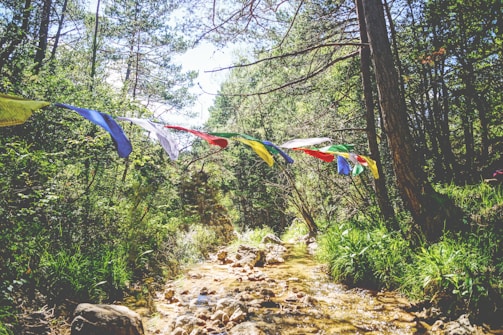 A small group enjoying a peaceful moment by a temple, surrounded by vibrant prayer flags.