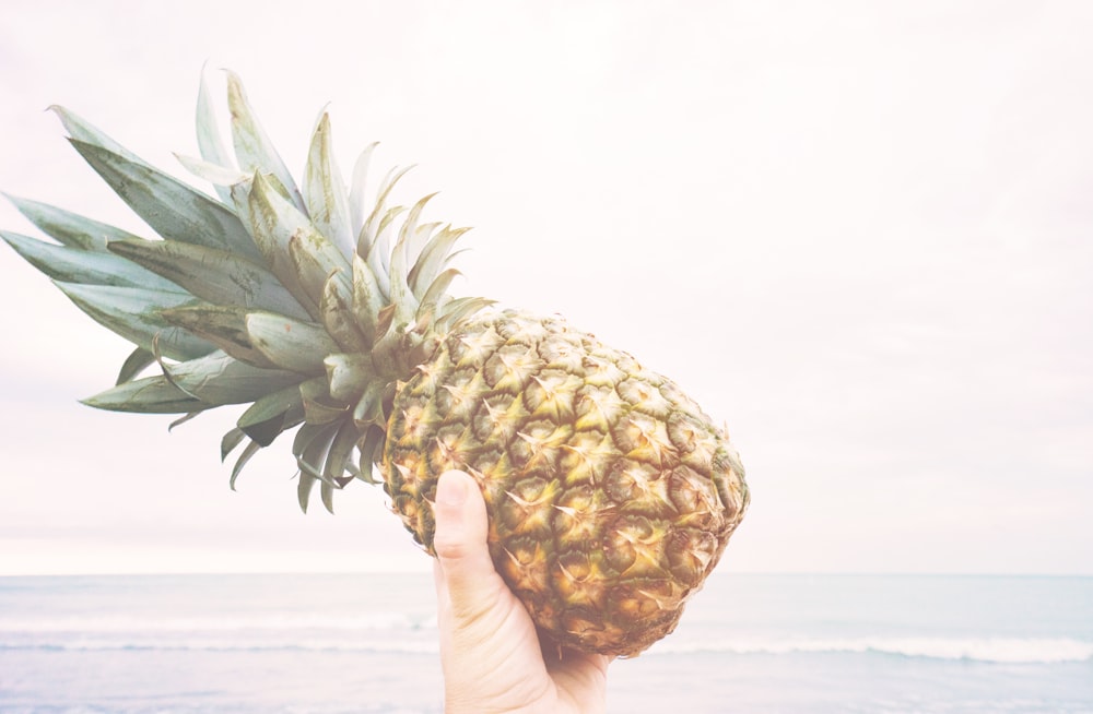 person holding pineapple fruit