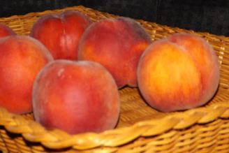 A basket overflowing with freshly harvested peaches, their fuzzy skin glowing warmly.