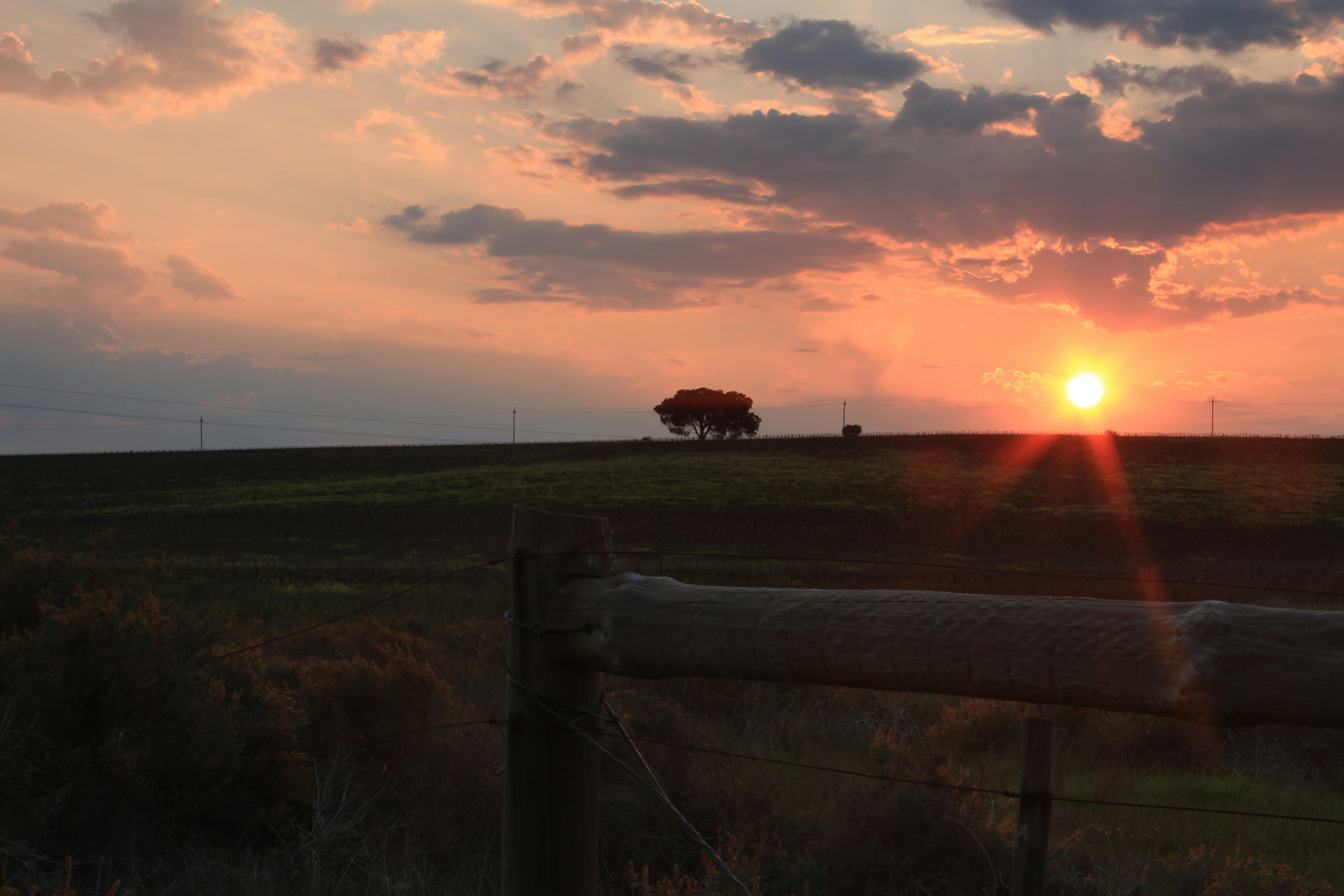 Free Unsplash photo from Rudi Strydom