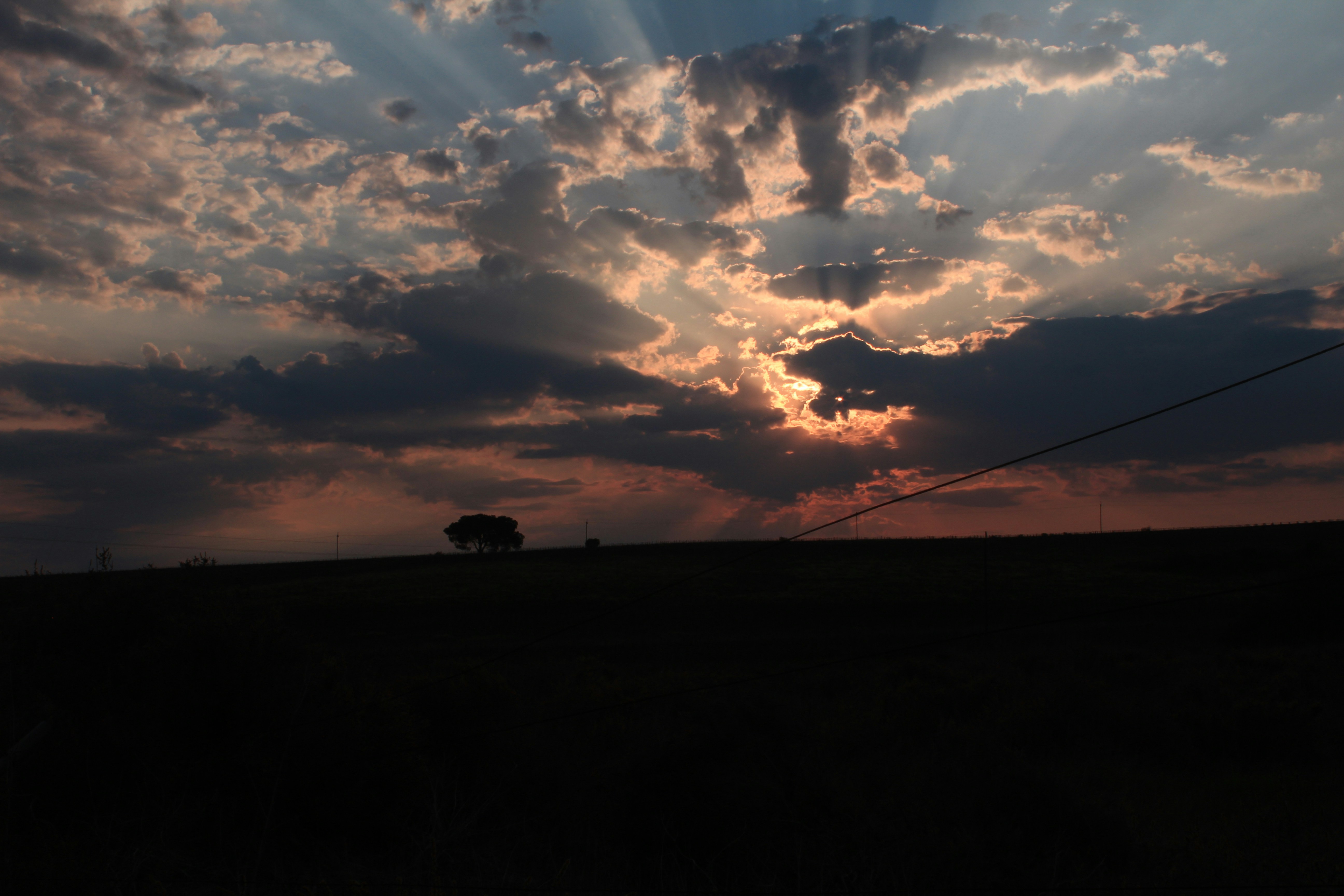 Free Unsplash photo from Rudi Strydom